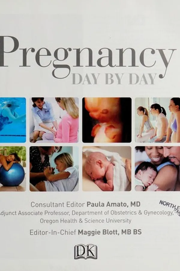 Capa de Pregnancy day by day