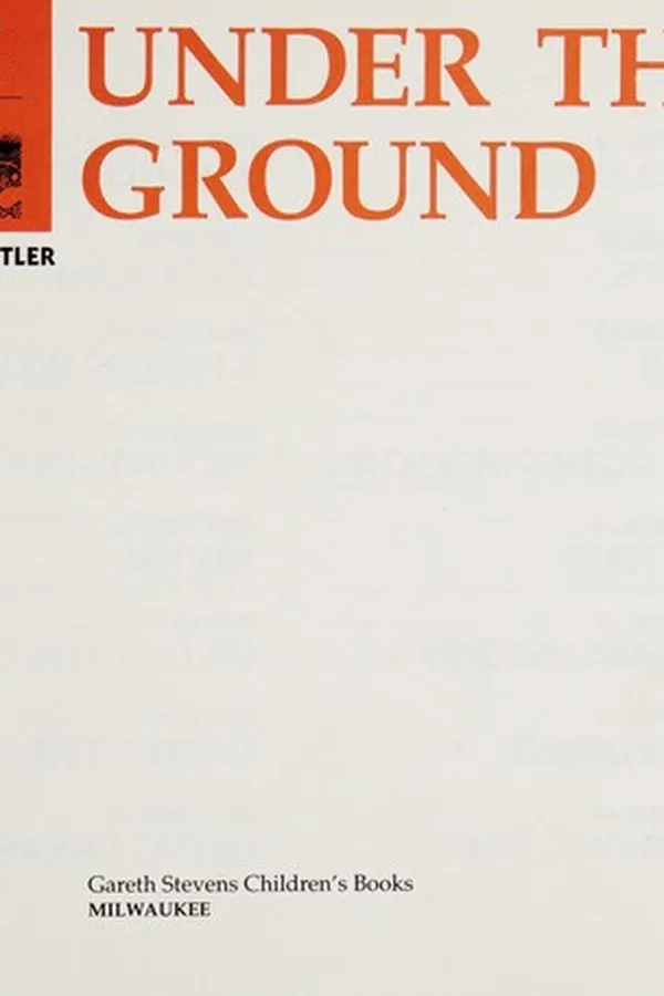Capa de First look under the ground