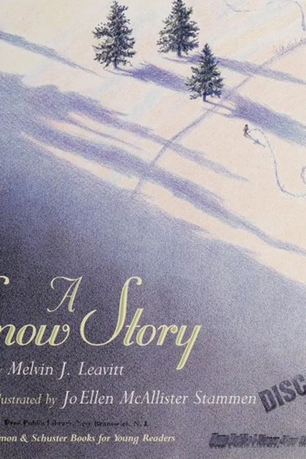 Capa de A snow story