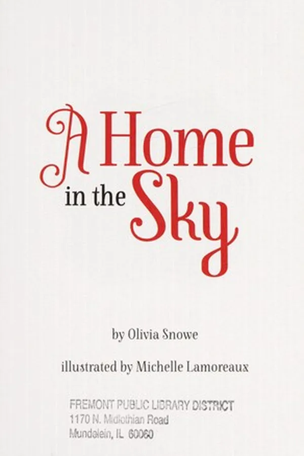 Capa de A home in the sky