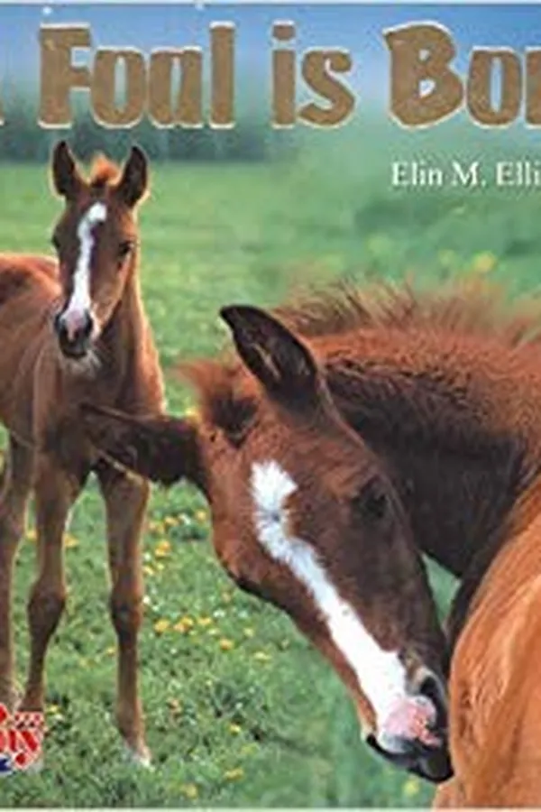 Cover of A foal is born