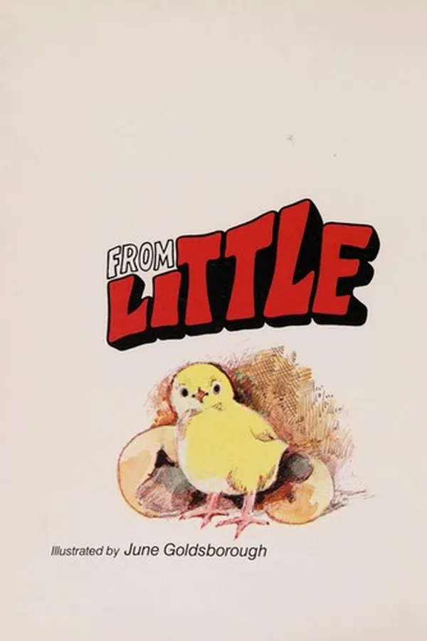 Capa de From little to big