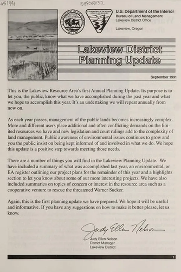 Capa de Lakeview District planning update