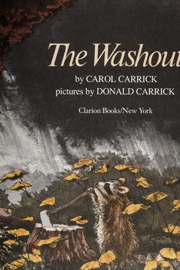 Cover of The washout