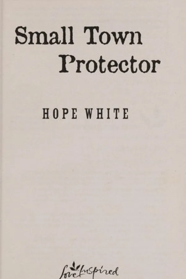 Capa de Small town protector