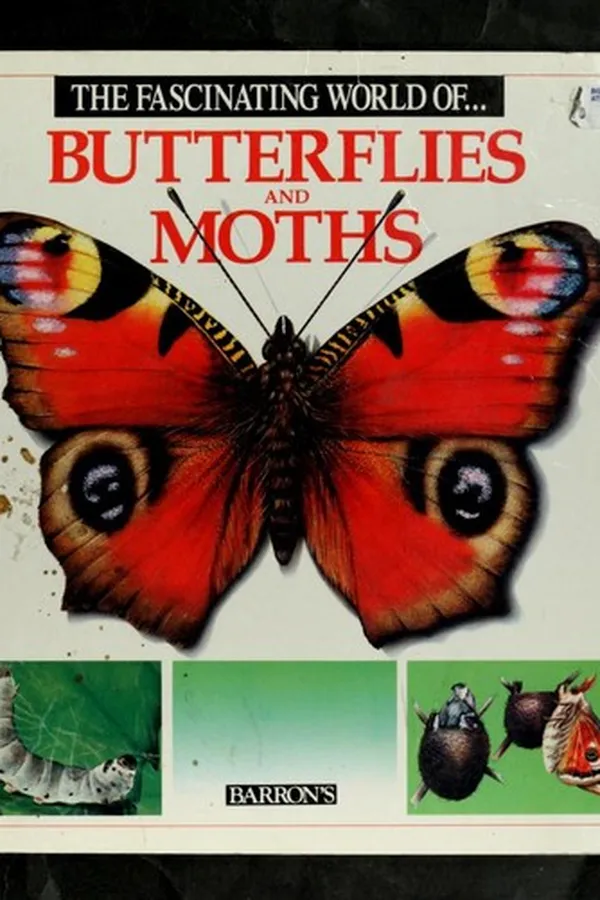 Capa de The fascinating world of butterflies and moths