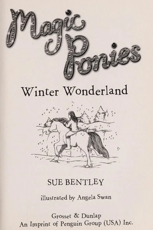 Capa de Winter wonderland