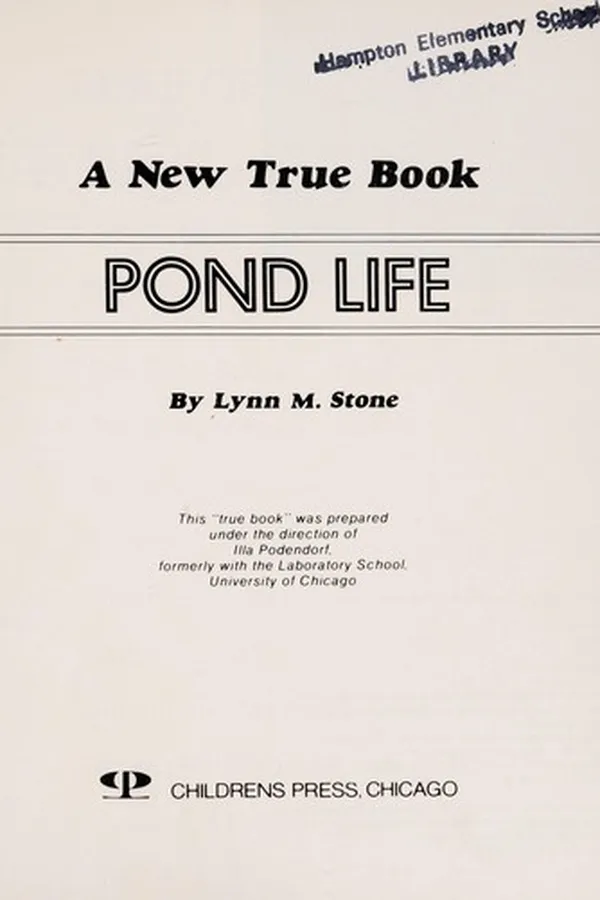 Capa de Pond life