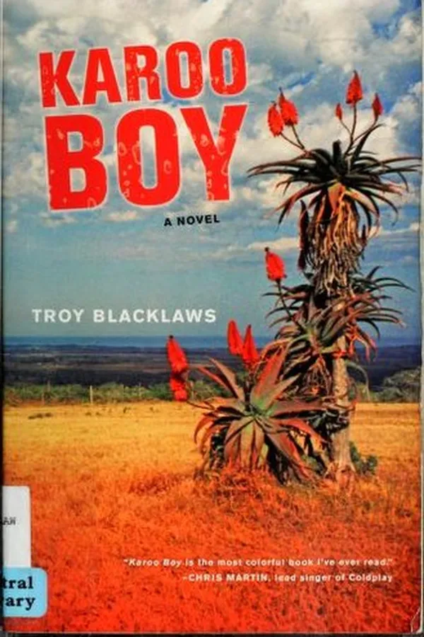 Capa de Karoo Boy