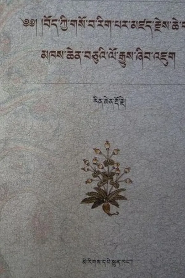 Capa de bod kyi gso ba rig par mdzad che ba'i mkhas chen bcu'i lo rgyus zhib 'jug