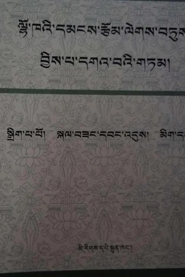 Capa de lho kha'i dmangs rtsom legs btus byis pa dga' ba'i gtam