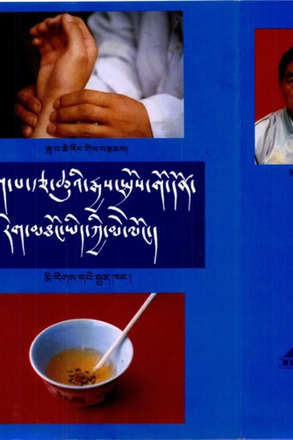 Capa de Bdud rtsi sñiṅ po yan lag brgyad pa gsaṅ ba man ṅag gi rgyud las blta reg gñis kyis nad ṅos bzuṅ thabs rgyas par spros pa reg mthoṅ don ldan