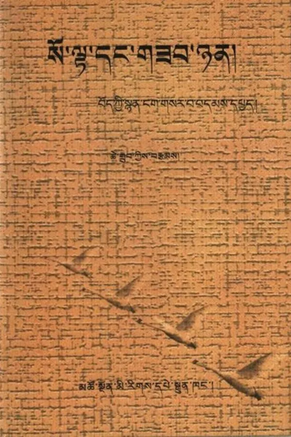 Capa de so lta dang gzab nyan
