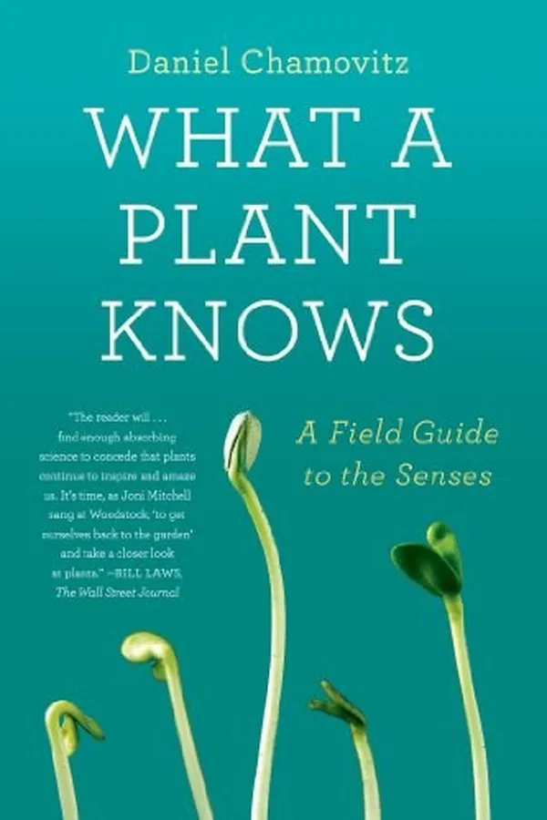 Capa de What a Plant Knows: A Field Guide to the Senses