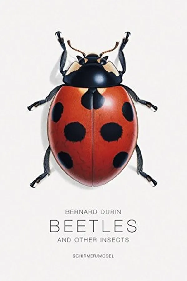 Capa de Bernard Durin: Beetles and Other Insects
