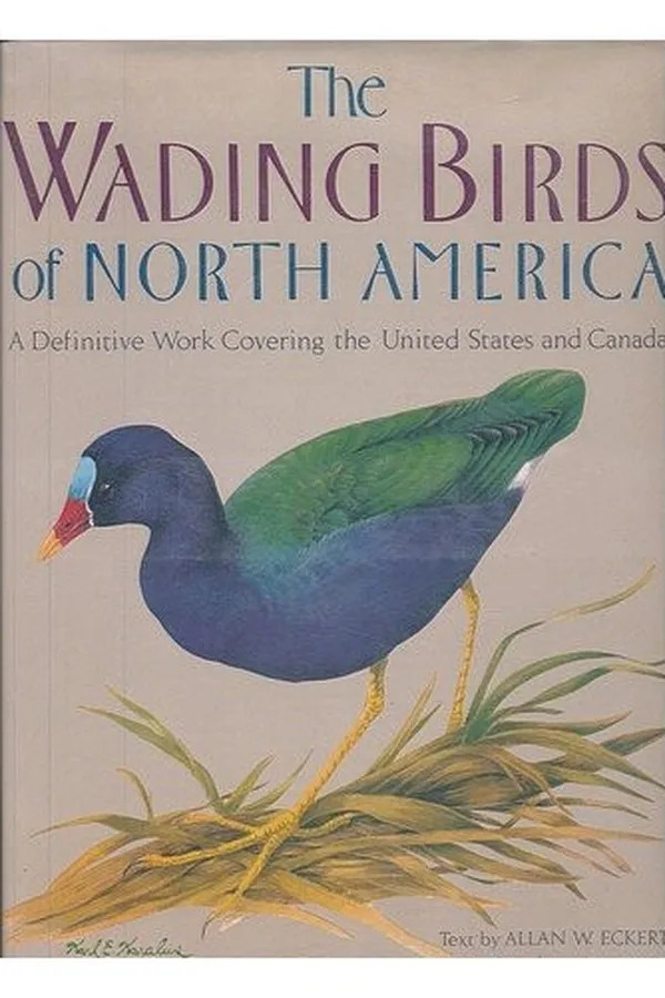 Capa de The wading birds of North America (north of Mexico)