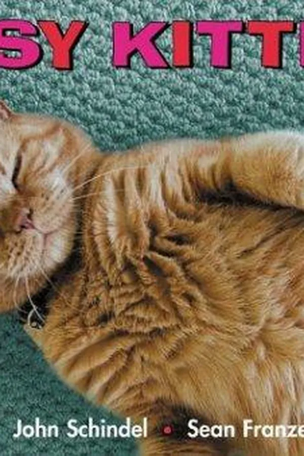 Capa de Busy kitties