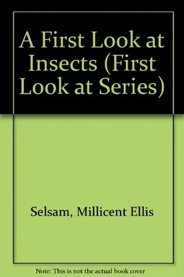 Capa de A first look at insects