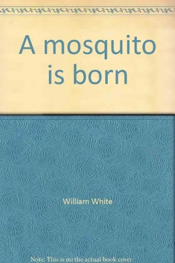 Capa de A mosquito is born