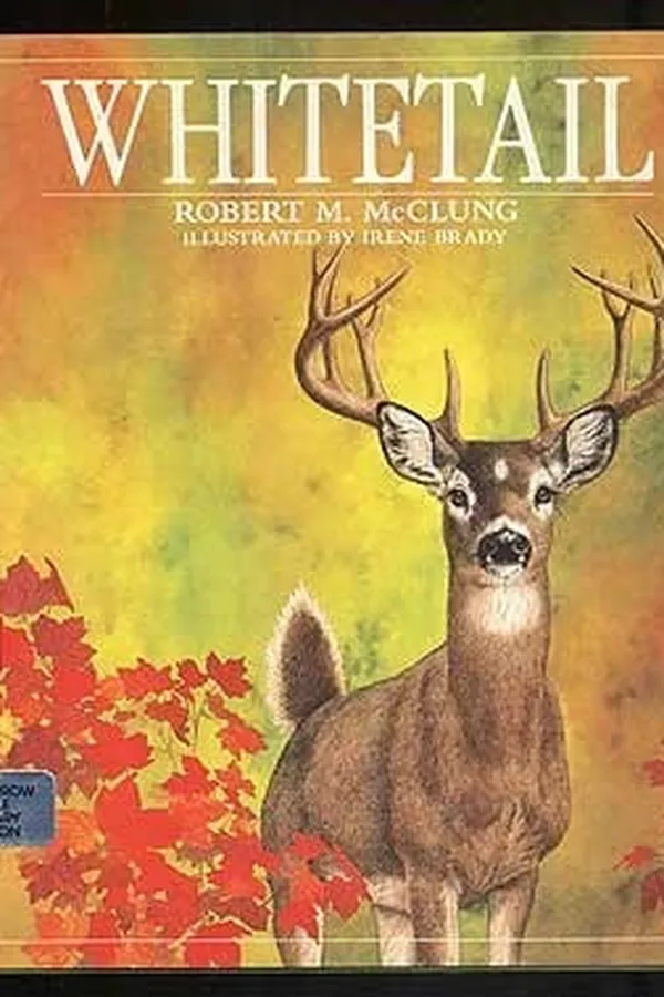 Capa de Whitetail