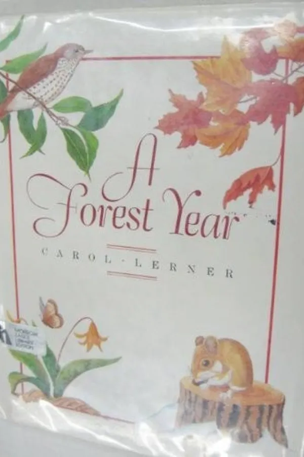 Capa de A forest year