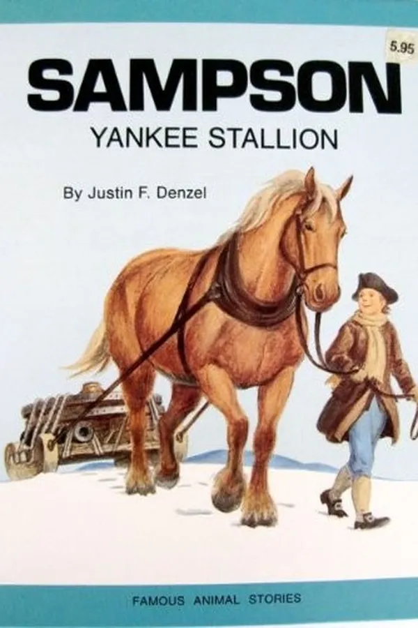 Capa de Sampson, Yankee stallion