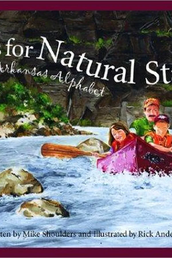 Capa de N is for natural state