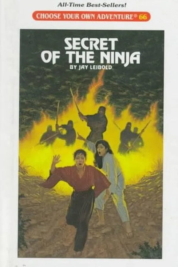 Capa de Choose Your Own Adventure - The Secret of the Ninja