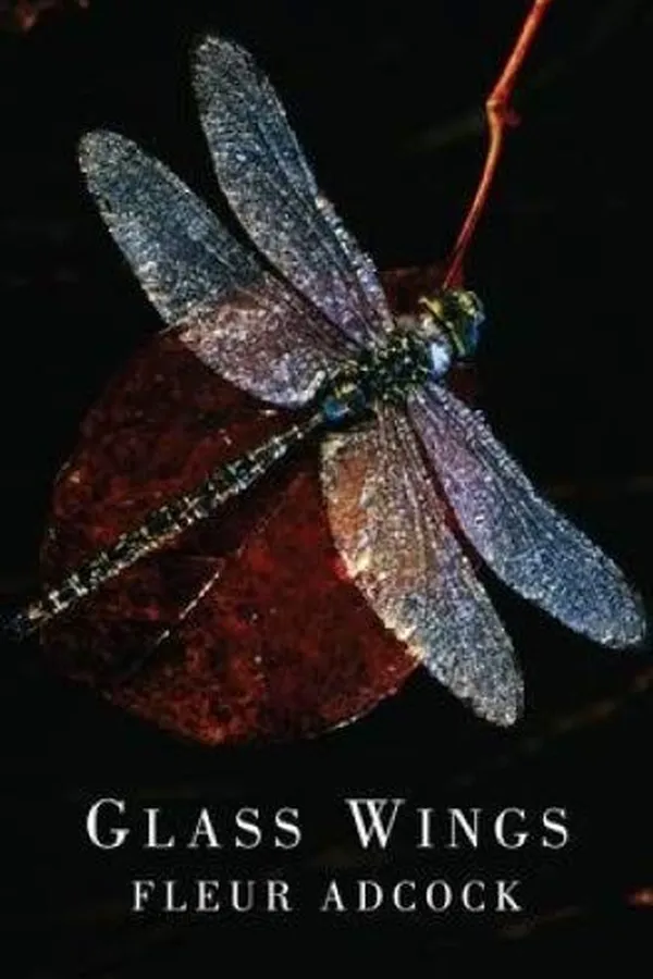 Capa de Glass Wings