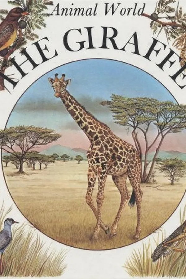 Capa de The giraffe