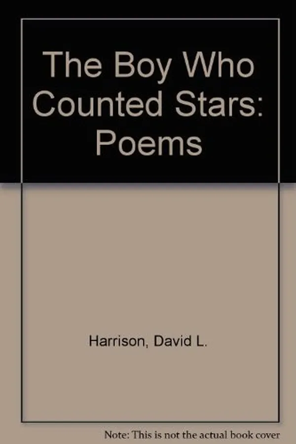 Capa de The boy who counted stars