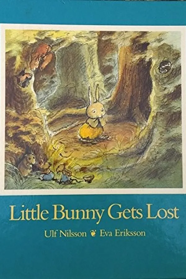 Capa de Little Bunny gets lost