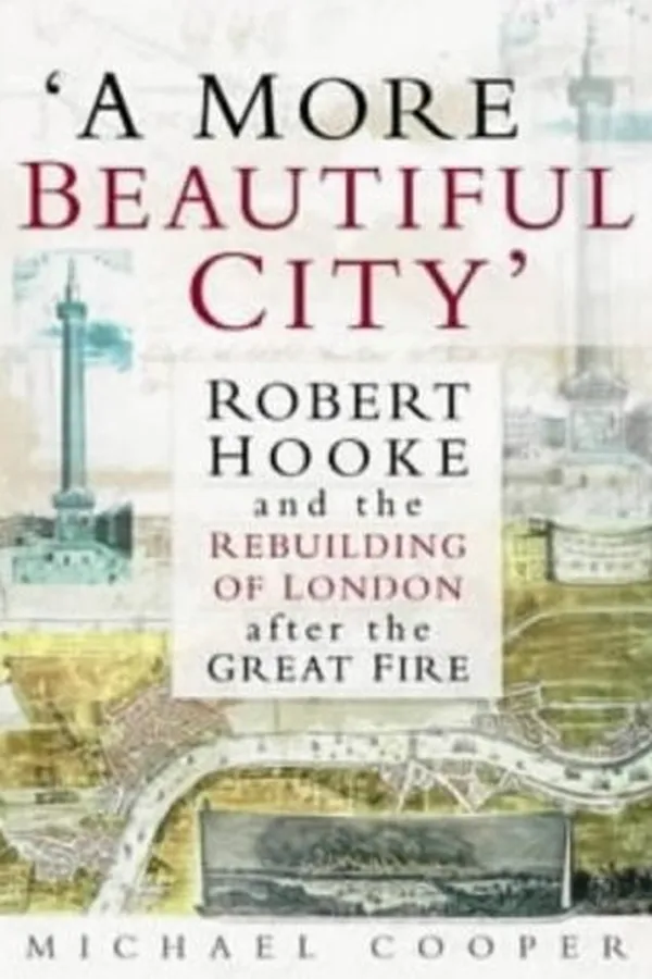 Cover of A more beautiful city