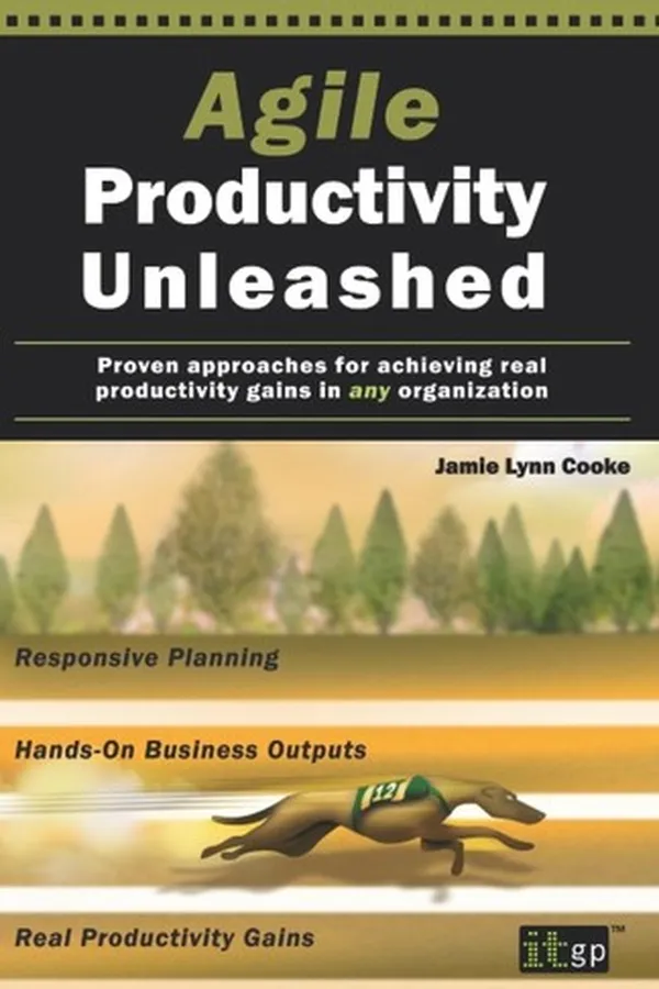 Cover of Agile productivity unleashed