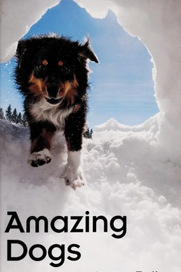 Capa de Amazing dogs