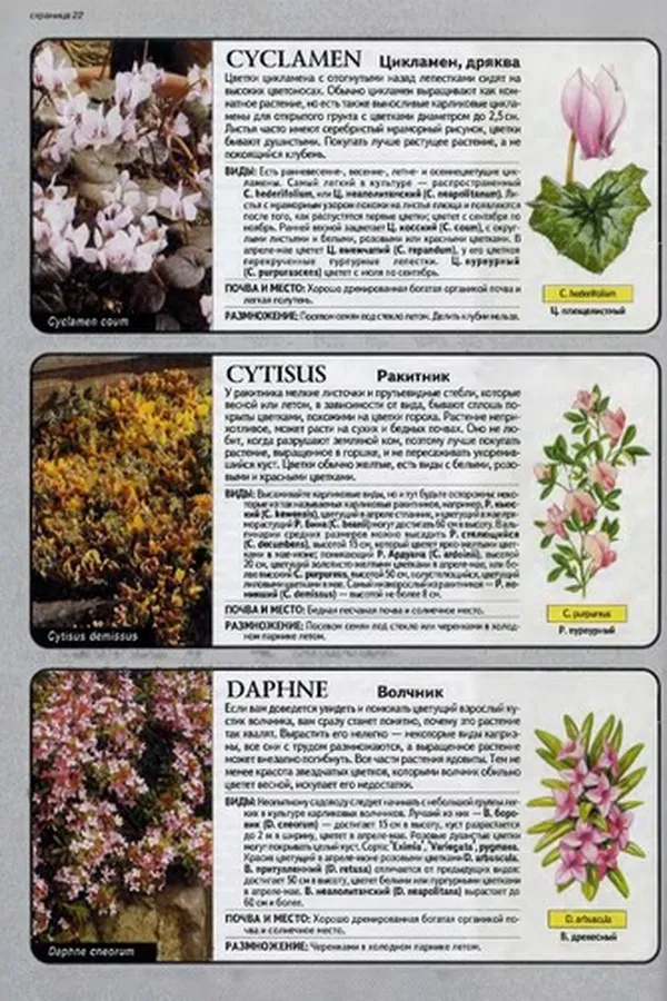 Capa de Vse ob alʹpinarii i vodoeme v sadu