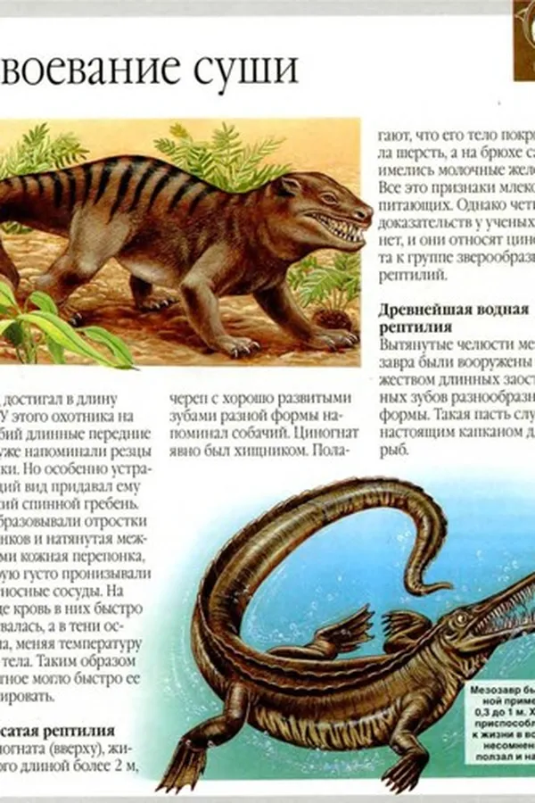 Capa de Dinozavry i drugie ischeznuvshie zhivotnye