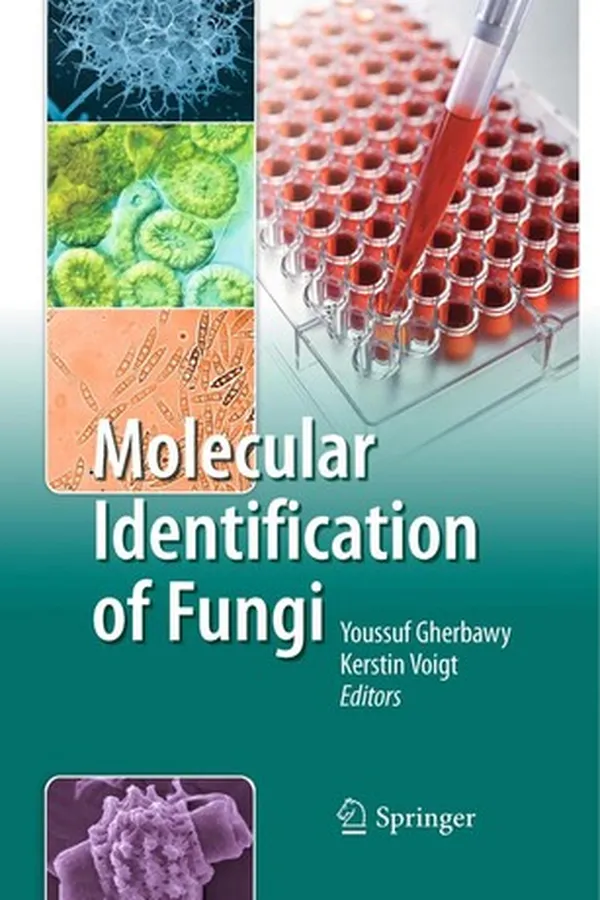 Capa de Molecular identification of fungi