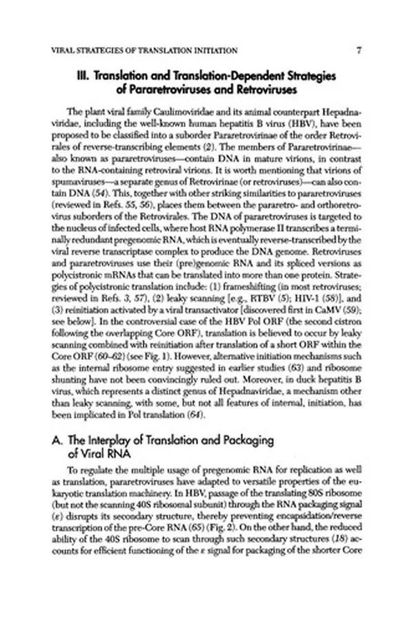 Capa de Progress in Nucleic Acid Research and Molecular Biology