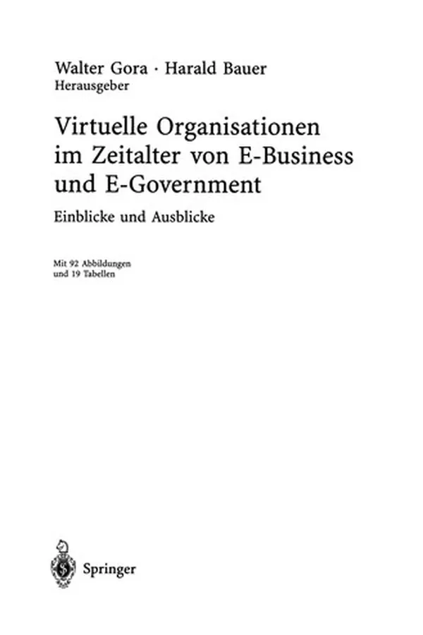 Capa de Virtuelle Organisationen im Zeitalter von E-Business und E-Government