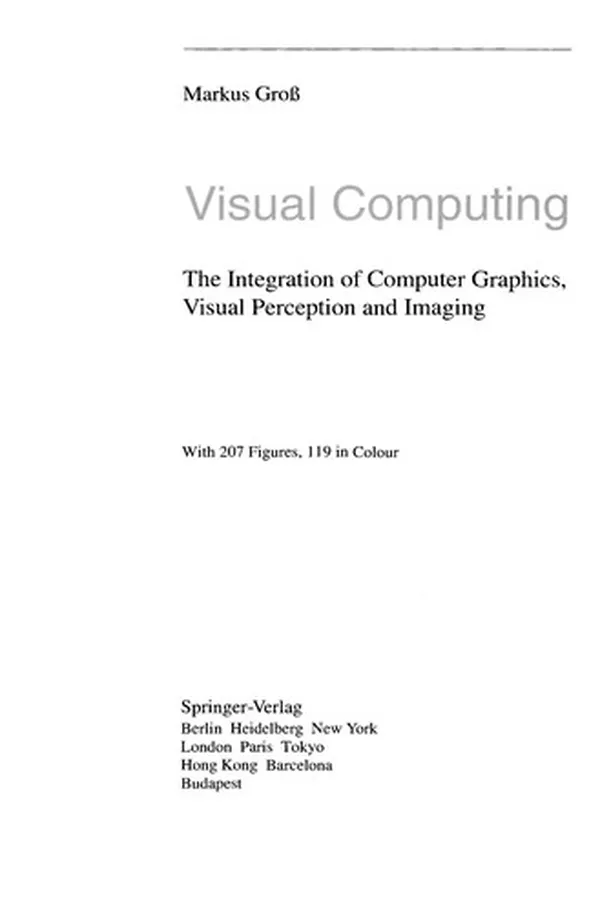 Capa de Visual Computing