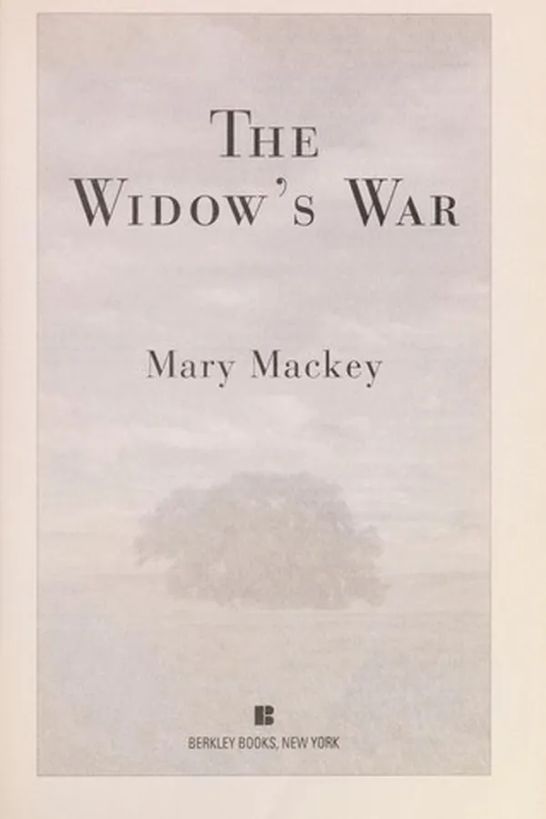 Capa de The widow's war