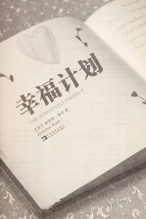 Capa de Xing fu ji hua