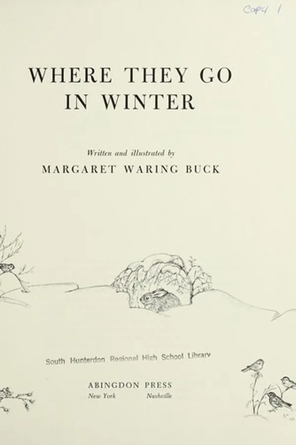 Capa de Where they go in winter