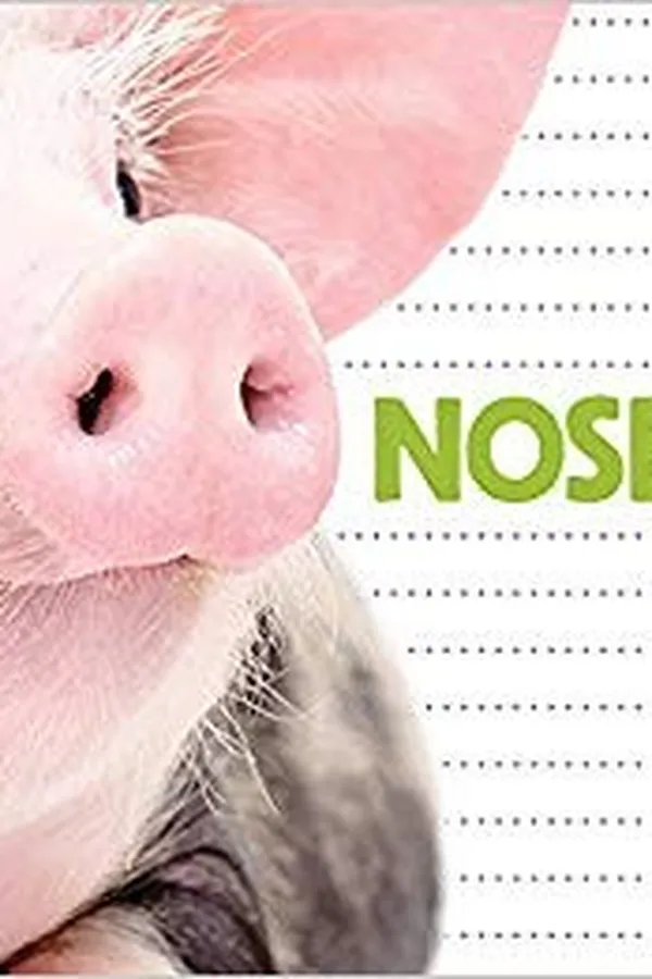Capa de Noses