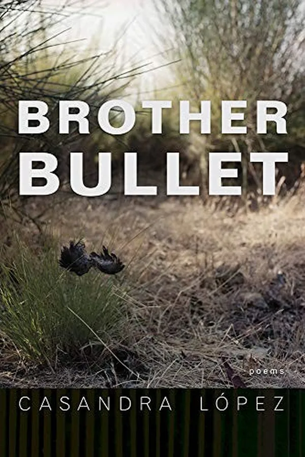 Capa de Brother Bullet