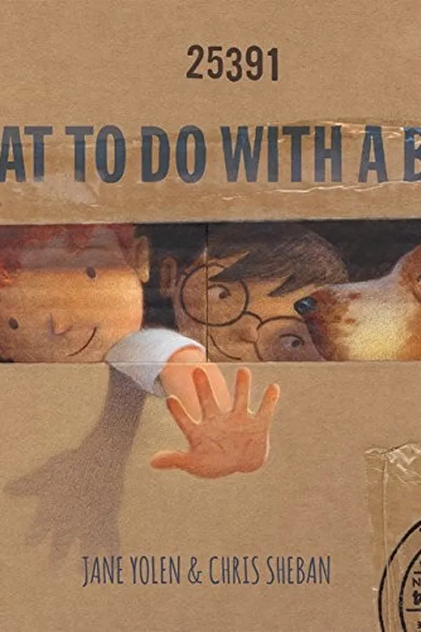 Capa de What to do with a box