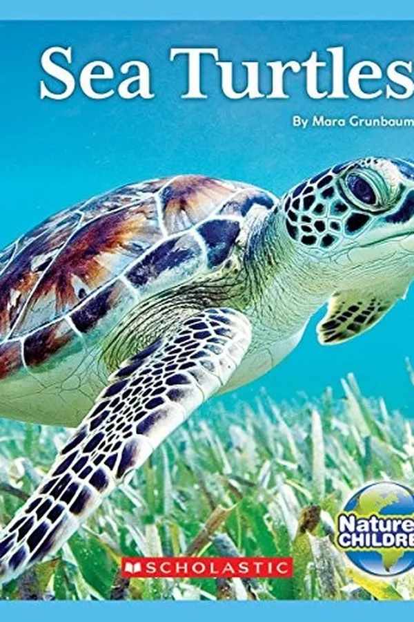 Capa de Sea turtles