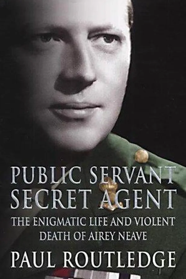 Capa de Public servant, secret agent