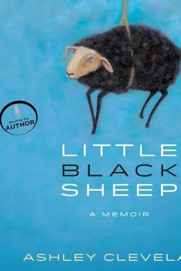Capa de Little Black Sheep